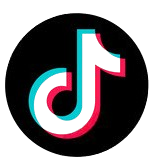 tiktok logo
