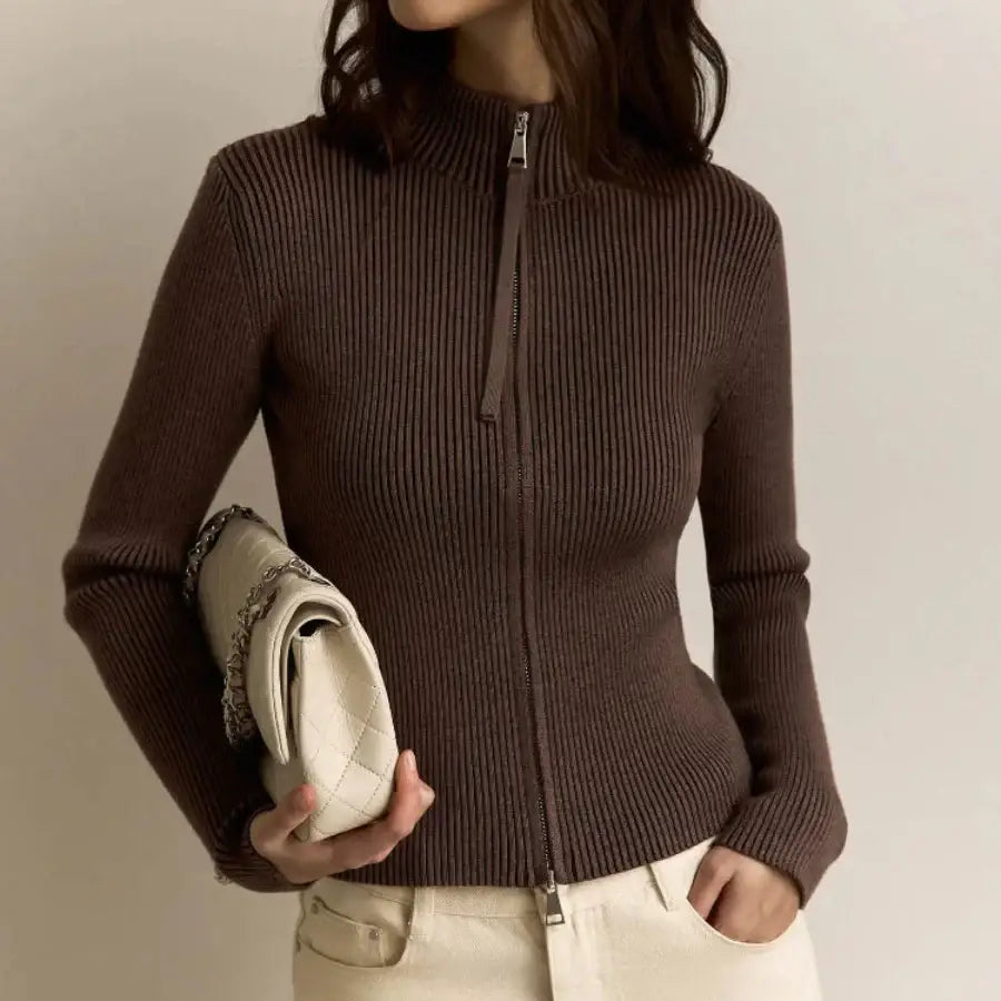 Turtleneck Double Zip Sweater