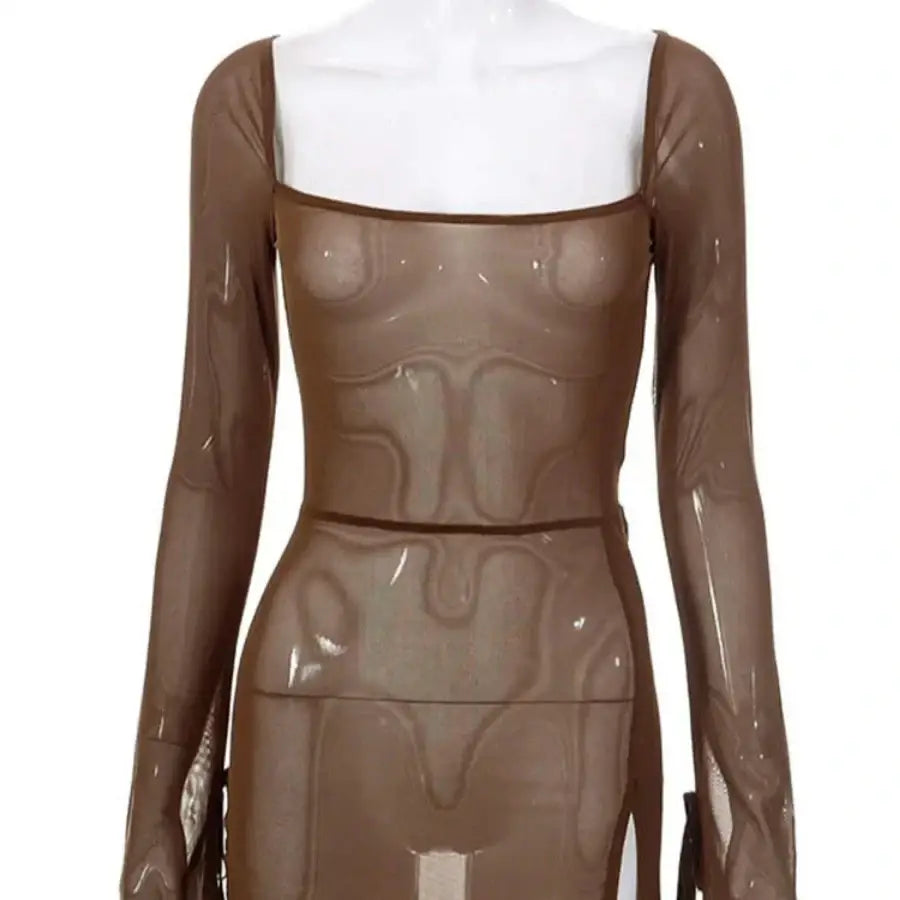 Mesh Long Sleeve Mini Dress - Brown / S